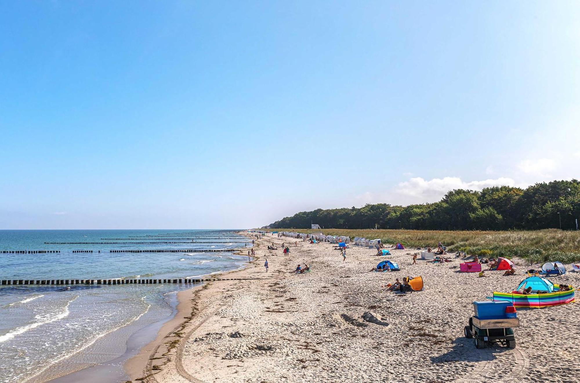 Seebaer Mit Terrasse Zingst Eksteriør bilde