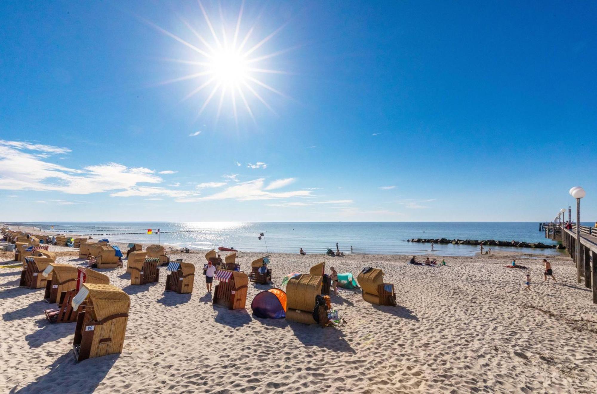 Seebaer Mit Terrasse Zingst Eksteriør bilde