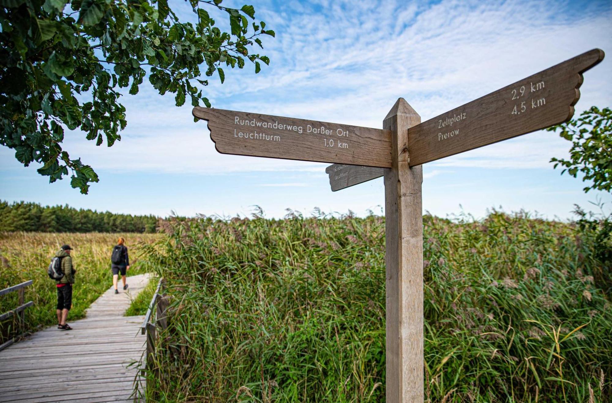 Seebaer Mit Terrasse Zingst Eksteriør bilde