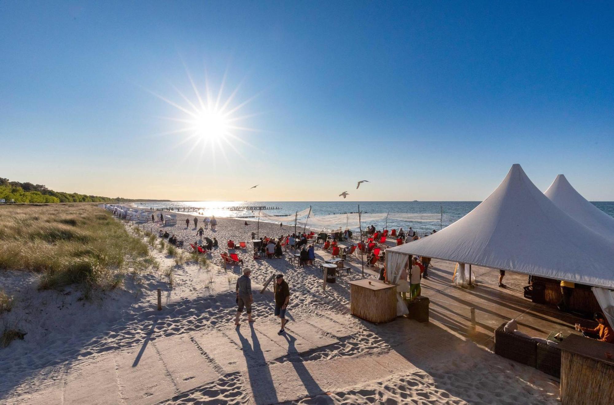 Seebaer Mit Terrasse Zingst Eksteriør bilde